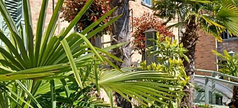 科菲波提酒店(Hotel Koffieboontje)图片