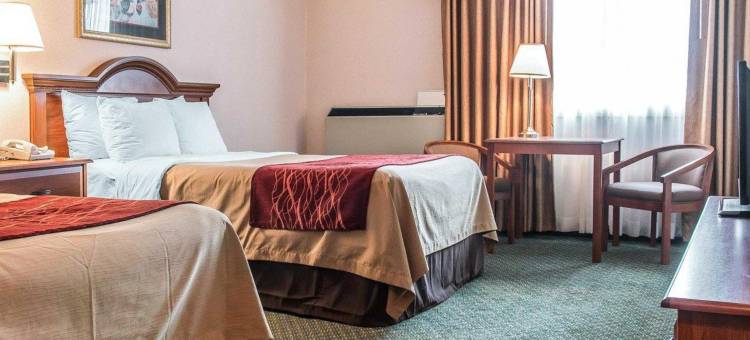 舒适酒店(Comfort Inn)图片