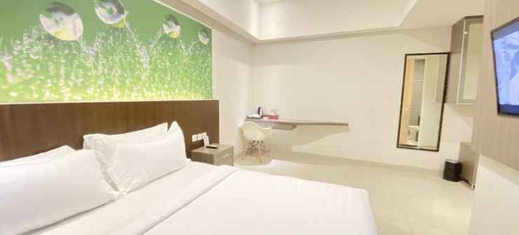 Emerald Hotel Timika图片