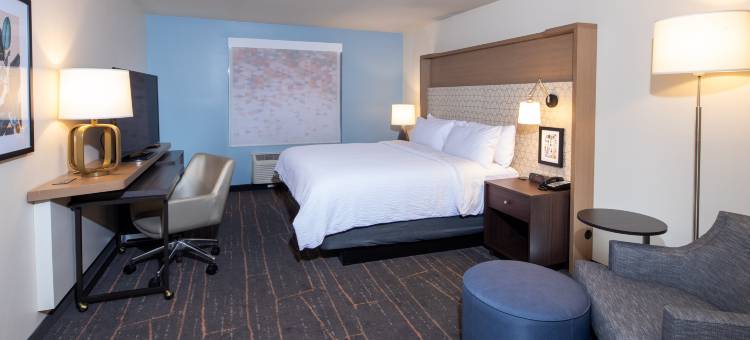 底特律-特洛伊假日酒店与套房(Holiday Inn & Suites Detroit - Troy)图片