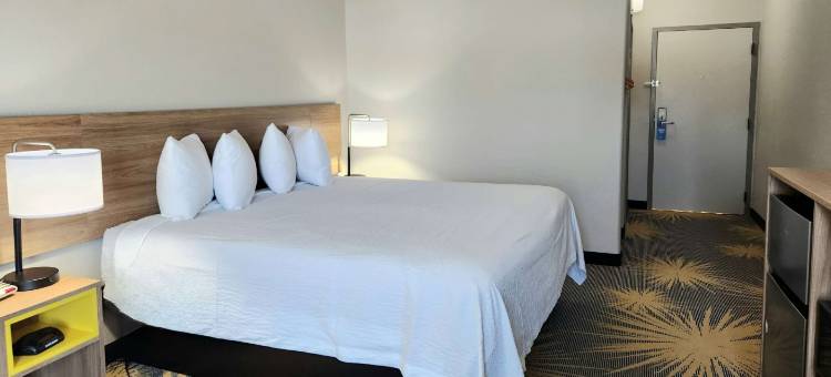 新奥尔良拉普拉斯戴斯酒店(Days Inn by Wyndham LaPlace- New Orleans)图片