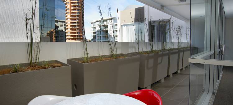 悉尼邦迪枢纽假日酒店及套房 by IHG(Holiday Inn & Suites Sydney Bondi Junction by IHG)图片