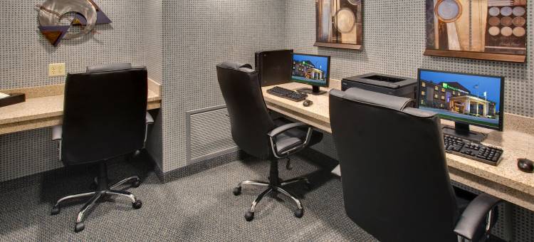 智选假日套房酒店格兰德艾兰(Holiday Inn Express & Suites Grand Island)图片