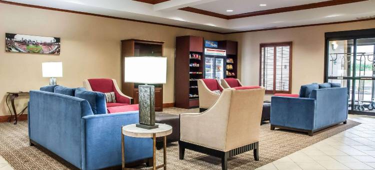 舒适酒店-近圣路易斯六旗(Comfort Inn Near Six Flags St Louis)图片