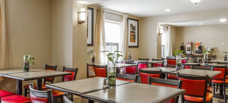 机场舒适酒店(Comfort Inn Airport)图片