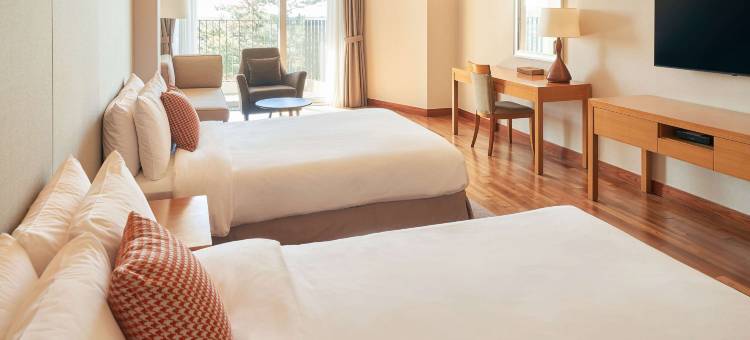 济州美居大使酒店(Mercure Ambassador Jeju)图片