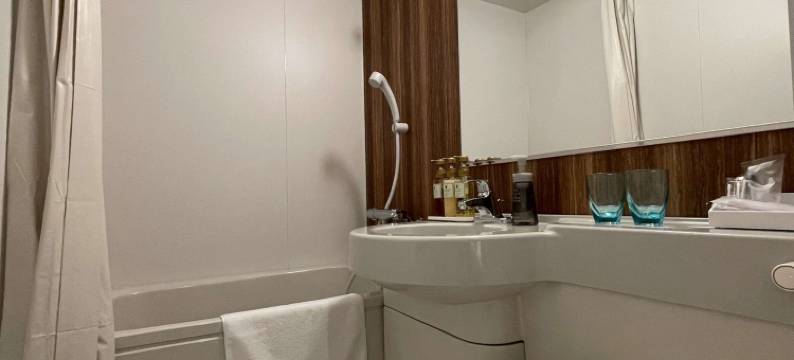 威利纳高级酒店-中之岛西(Welina Hotel Premier Nakanoshima West)图片