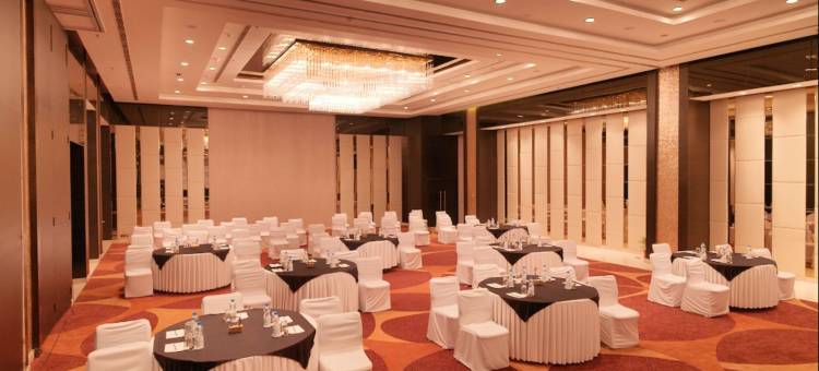 齐普尔通克路皇家兰花酒店(Hotel Royal Orchid Jaipur, Tonk Road)图片