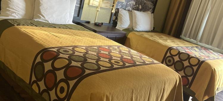 圣贝纳迪诺温德姆速8酒店(Super 8 by Wyndham San Bernardino)图片