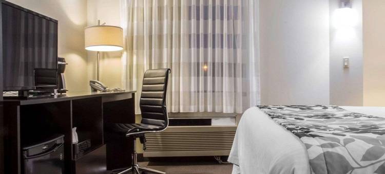 布雷斯桥斯利普酒店(Comfort Inn)图片