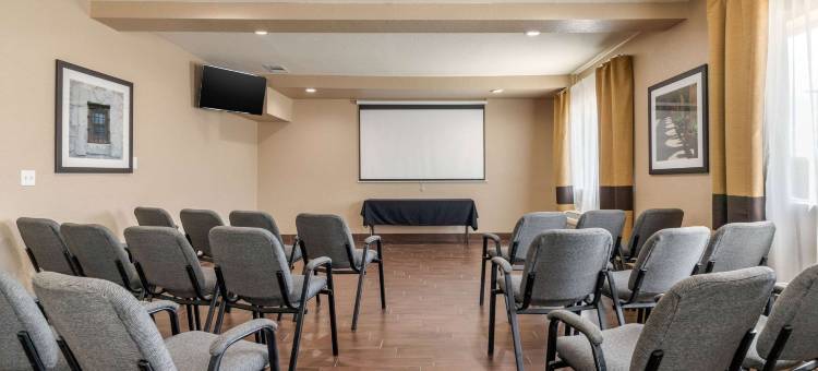 圣安东尼奥机场北部舒适套房(Comfort Suites San Antonio Airport North)图片