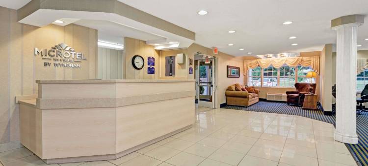 弗洛伦斯-辛辛那提机场麦客达套房酒店(Microtel Inn & Suites by Wyndham Florence/Cincinnati Airport)图片