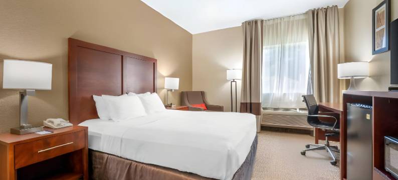 舒适酒店弗里蒙特(Comfort Inn Fremont)图片
