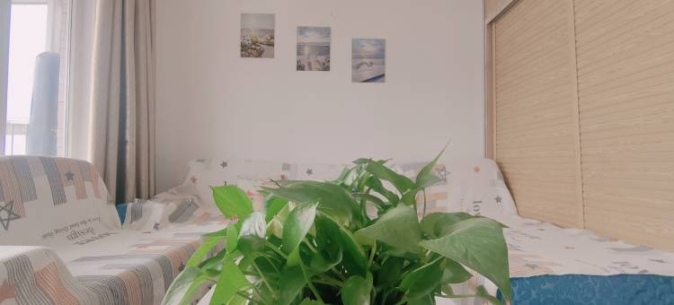 听风看雨公寓(杏坛路分店)图片