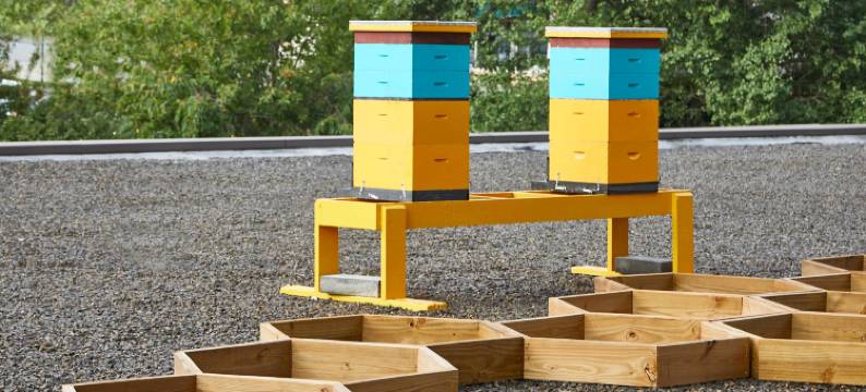 阿什维尔市中心万丽酒店(Renaissance Asheville Downtown Hotel)图片