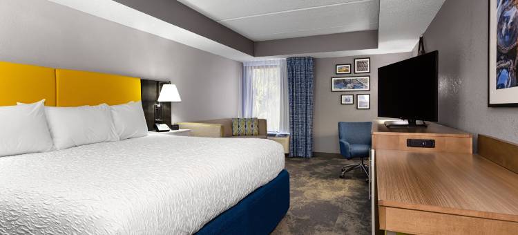 费尔南迪纳海滩阿米莉亚岛欢朋酒店(Hampton Inn Amelia Island at Fernandina Beach)图片