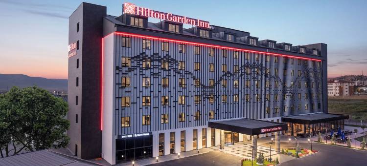 埃尔祖鲁姆希尔顿花园酒店(Hilton Garden Inn Erzurum)图片