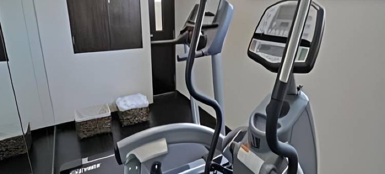 墨西哥城波朗科温德姆花园酒店(Wyndham Garden Mexico City - Polanco)图片