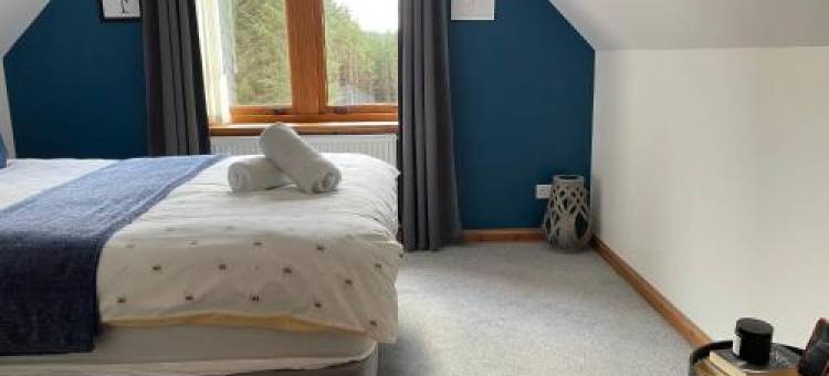 Thistle Do Fort William图片