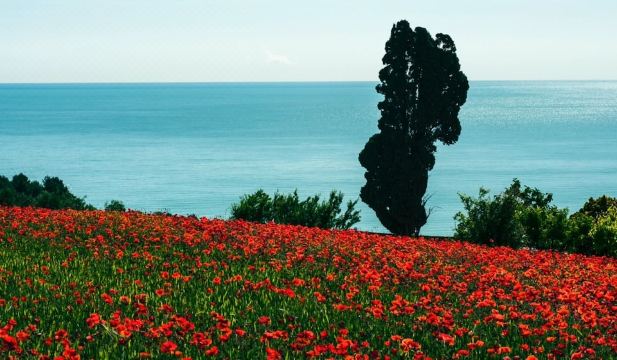 Beautiful and comfortable apartment near the sea Hotel Overview