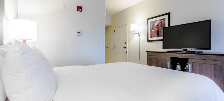 圣彼得斯圣查尔斯希尔顿欢朋酒店(Hampton Inn by Hilton St. Charles St. Peters)图片