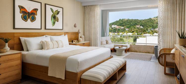 圣文森特和格林纳丁斯桑德尔斯酒店仅限成人(Sandals St. Vincent and the Grenadines Adults Only)图片