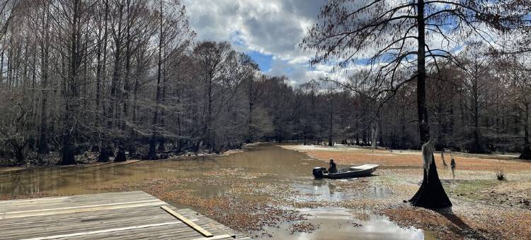 NEW WATER FRONT cabin on North Caddo Lake- private boat launch, dock, much more!图片