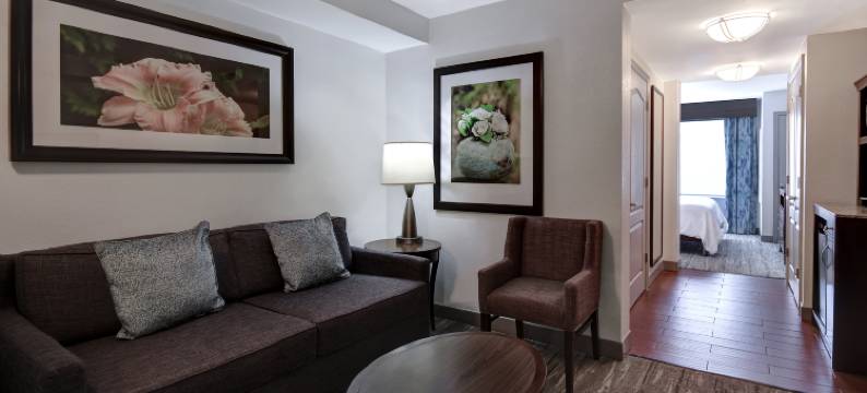 迈尔斯堡希尔顿花园酒店(Hilton Garden Inn Fort Myers)图片