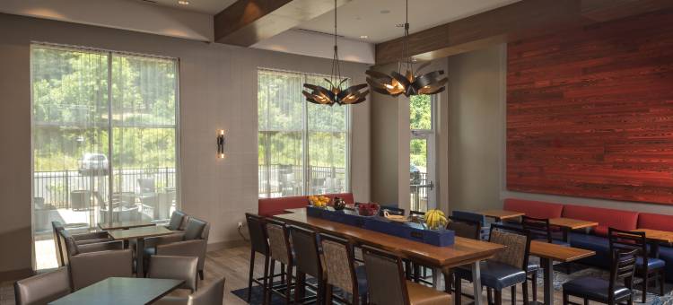 北卡罗来纳州阿什维尔比尔特摩村希尔顿欢朋酒店(Hampton Inn & Suites Asheville Biltmore Village)图片