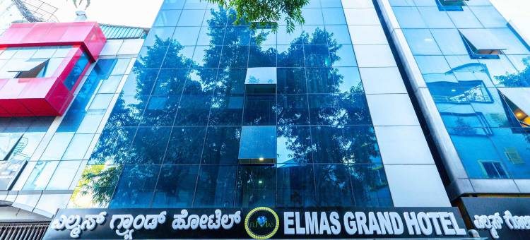 Treebo 埃尔马斯大酒店(Treebo Elmas Grand)图片