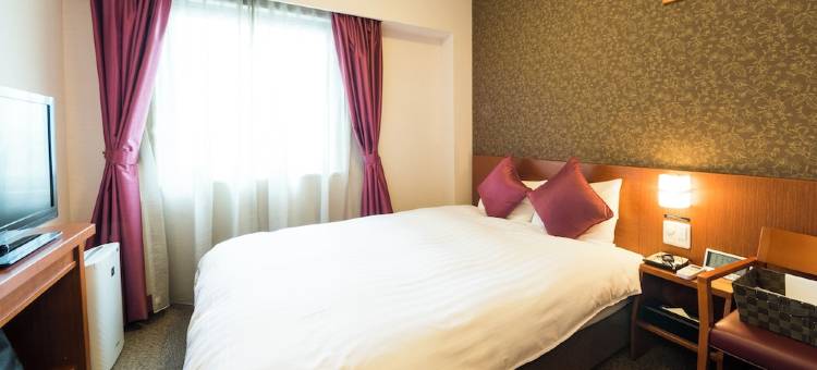 和歌山天然温泉多米高级酒店(Dormy Inn Premium Wakayama Natural Hot Spring)图片