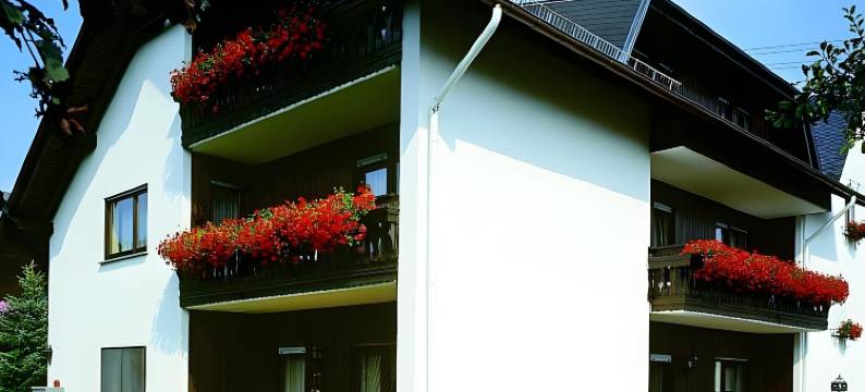 沃德斯伍旅馆(Pension Waldesruh)图片