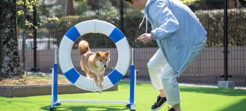 WAN WAN 宠物度假天堂 浜名湖(Wan Wan Paradise Hamanako)图片