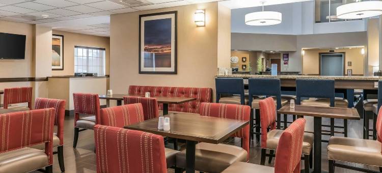 斯普林菲尔德舒适套房酒店(Comfort Suites)图片