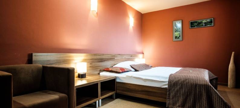 舒适酒店(Hotel Comfort with Free Wellness and Fitness Centrum)图片