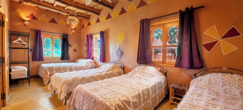 棕榈树 - 生态小屋旅馆(Ecolodge la Palmeraie)图片