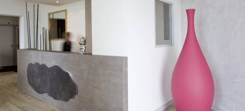 罗驰诺尔西佳酒店(Hotel & Spa les Roches Noires)图片