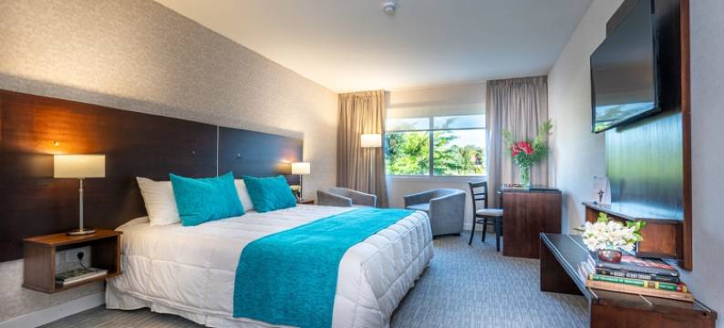 拉普拉塔温德姆豪生酒店(Howard Johnson by Wyndham la Plata)图片