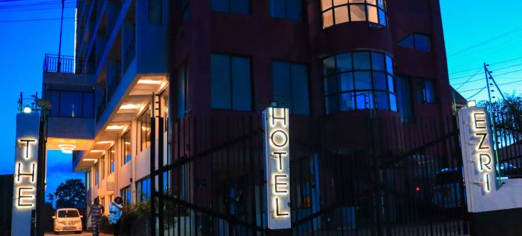 埃兹里酒店(The Hotel Ezri)图片