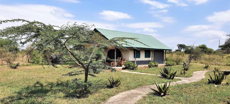 非洲Safari Serengeti Ikoma(Africa Safari Serengeti Ikoma Camping)图片