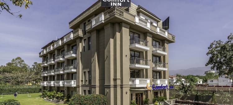 德拉敦舒适酒店(Comfort Inn Dehradun)图片
