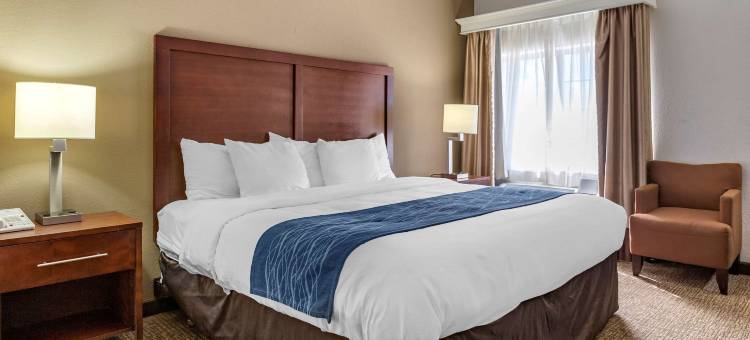 市中心-大学区舒适酒店(Comfort Inn Downtown - University Area)图片