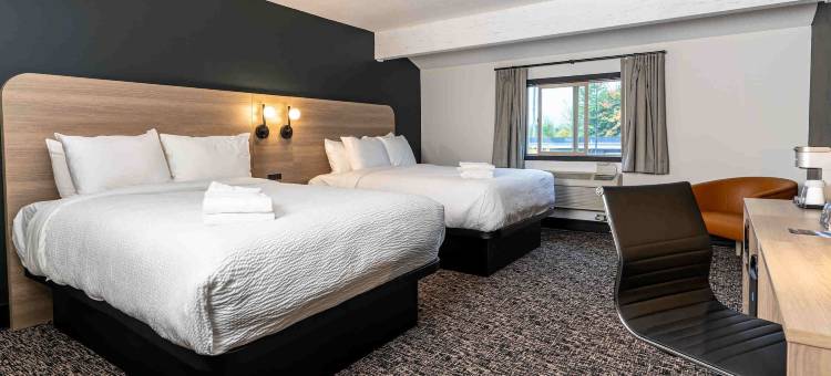 雷夫尔斯托克北风酒店(Northwinds Hotel Revelstoke)图片