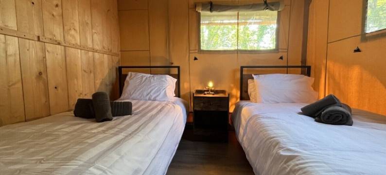 丛林书萨法利帐篷(Jungle Book Safari Tent)图片