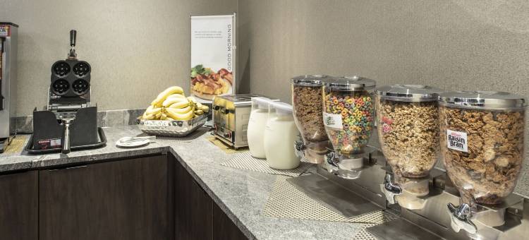 切尔西/波士顿洛根机场万枫酒店及套房(Fairfield Inn & Suites Boston Logan Airport/Chelsea)图片