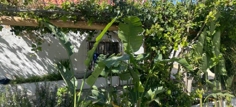 特拉法尔加的La Posada酒店(La Posada de Trafalgar)图片