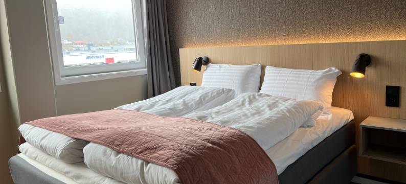 Frich's快捷酒店(Frich´s Express Hotel)图片