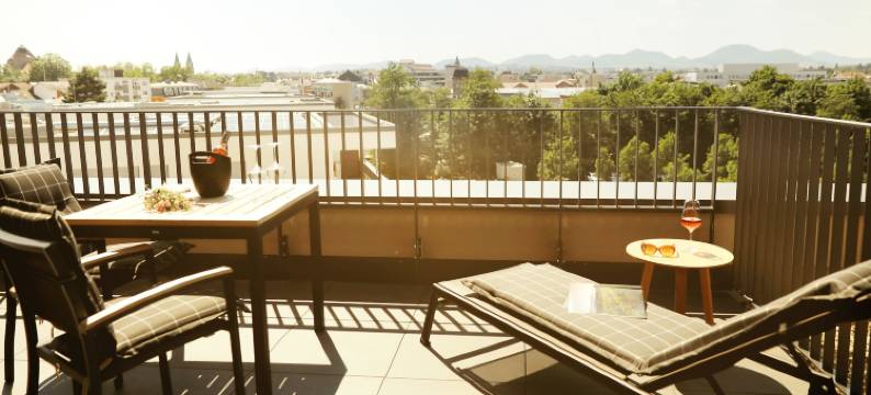 兰道马克西米利精品酒店(Maximilians Boutique-Hotel Landau)图片