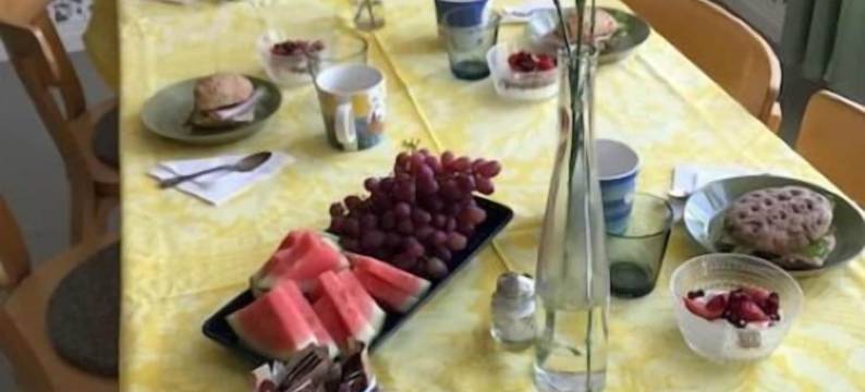 马丁和玛雅旅社(Matin ja Maijan Majatalo)图片