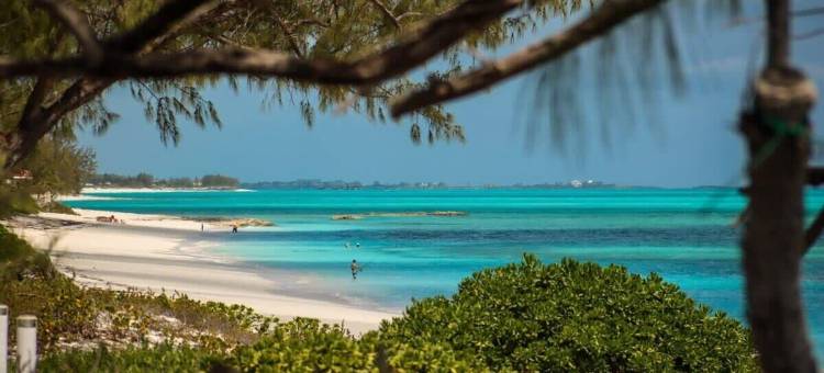 直接海滩的白棕榈别墅 - 塔湾(Beachfront White Palm Villa - Tar Bay)图片